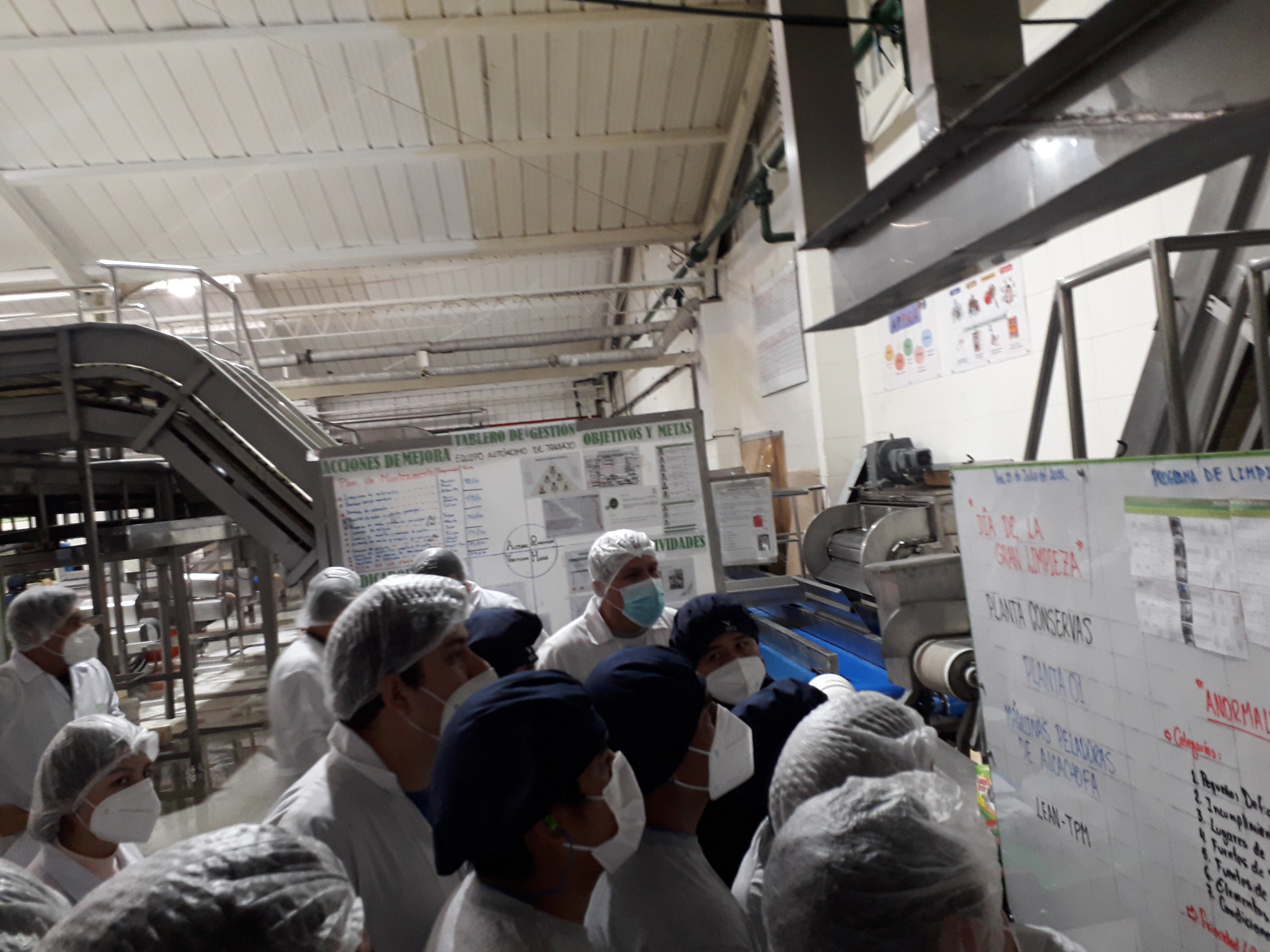 Experiencia de trabajo en planta en VIRÚ
